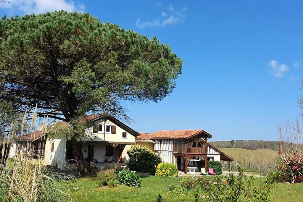 Camat T1 De Plain Pied A La Campagne Apartment Cazaubon